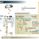 Illustration for article titled New Fossil Discovery is the Closest Weve Come to the Missing Link